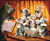 OUTSTANDING PURRFORMANCE NOTE CARD 10 PAK